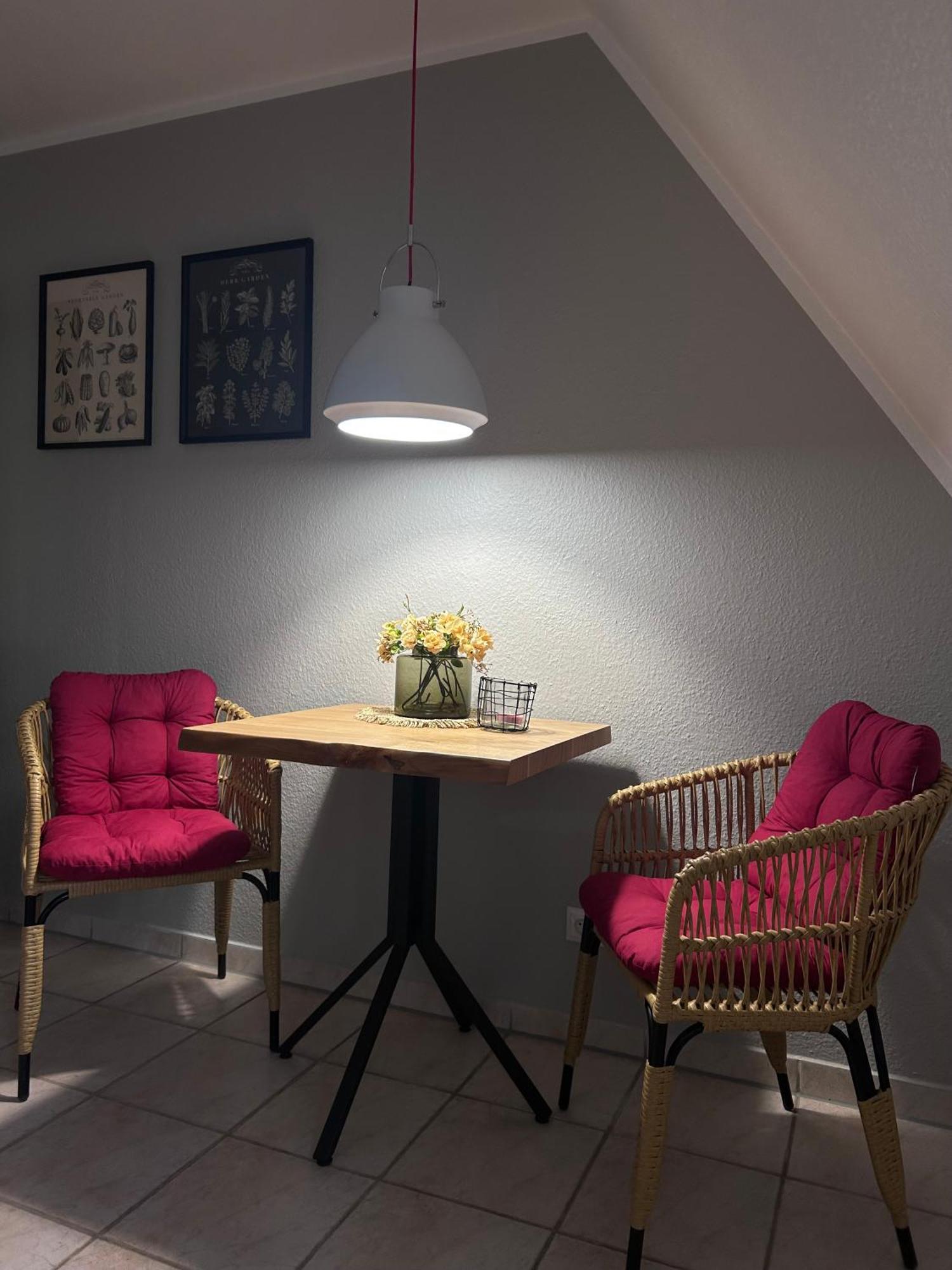 4 Wunderschoene Ferienwohnungen Im Kavaliershaus 什未林 外观 照片