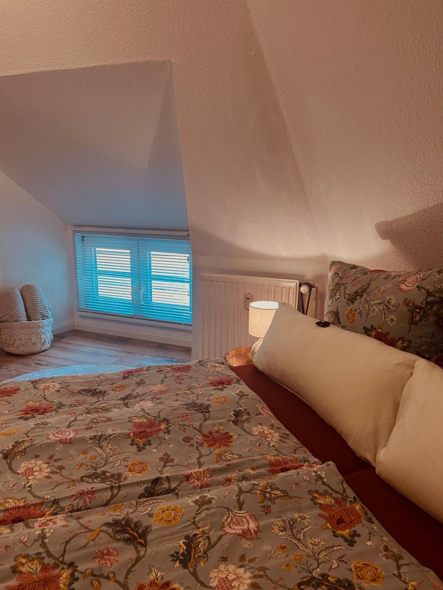 4 Wunderschoene Ferienwohnungen Im Kavaliershaus 什未林 外观 照片