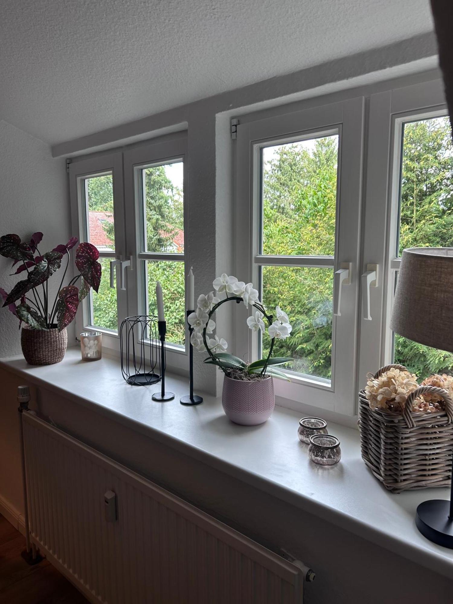 4 Wunderschoene Ferienwohnungen Im Kavaliershaus 什未林 外观 照片