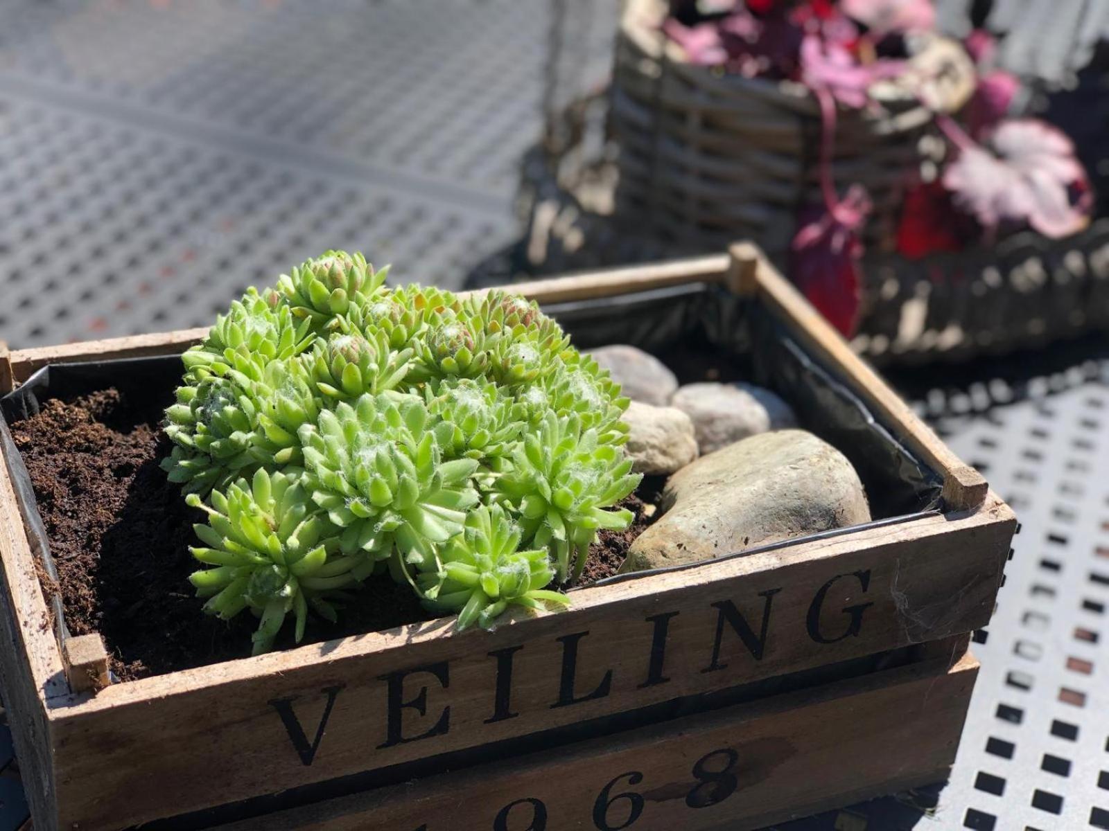 4 Wunderschoene Ferienwohnungen Im Kavaliershaus 什未林 客房 照片